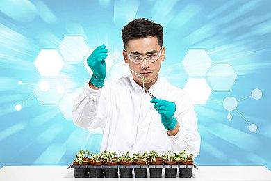 《沙石镇时光》后续开发计划：将新增结婚宠物系统等